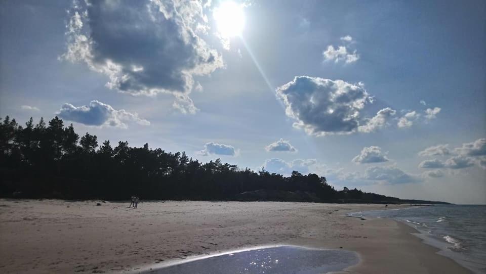 Domki Letniskowe Anna Ostrowo  Esterno foto
